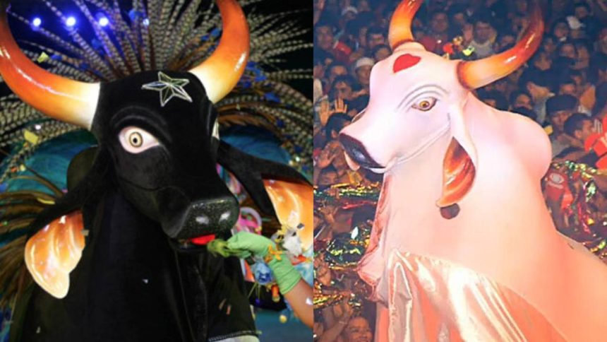 Pesquisa revela perfil de torcedoresBoi-Bumbá Garantido e Caprichoso de Parintins em Manaus, Amazonas, Brasil.