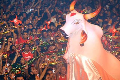 Boi Garantido em festa com multidão para falar sobre pesquisa que colocou a agremiação com mais torcida em Manaus. Um boi gigante branco e vermelho em meio aos torcedores