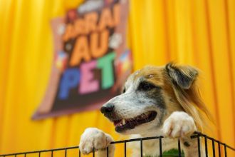 Cachorro deitado em uma grade com o letreiro ArraiAU Pet ao fundo