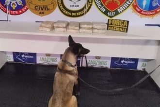 Cão farejador com drogas apreendidas pela PMAM em operação com Ágata.