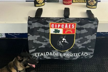 Cão farejador da PMAM ao lado de material apreendido em ação contra o tráfico de drogas.