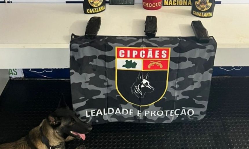 Cão farejador da PMAM ao lado de material apreendido em ação contra o tráfico de drogas.