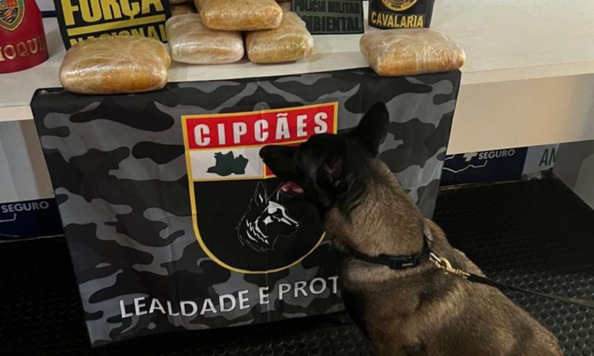 Cão farejador da polícia ao lado de tabletes de maconha apreendidos em operação.