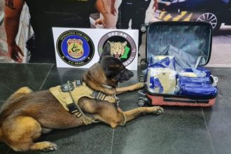 Cão farejador e malas com drogas apreendidas pela Polícia Federal.