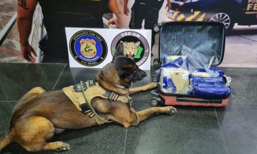 Cão farejador e malas com drogas apreendidas pela Polícia Federal.