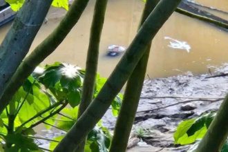 Corpo de mulher boiando no Rio Madeira em Manicoré, Amazonas
