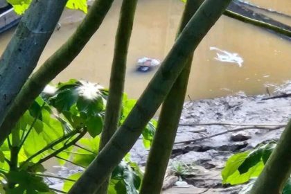 Corpo de mulher boiando no Rio Madeira em Manicoré, Amazonas