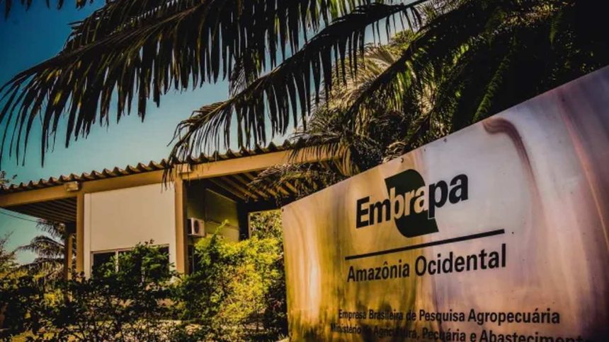 Fachada da Embrapa Amazônia Ocidental em Manaus, Brasil, com placa e vegetação tropical.