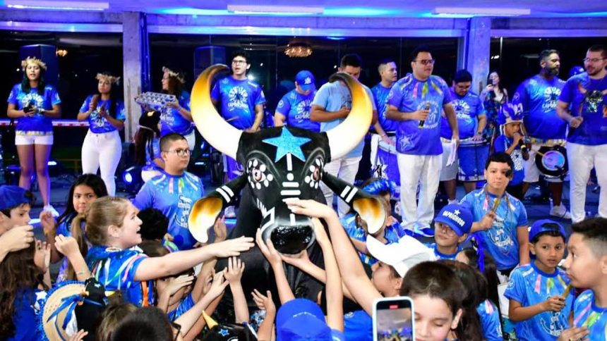 Festa do Boi Caprichoso em Manaus comemorando 26 anos.