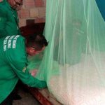 Funcionários da vigilância sanitária inspecionam mosquiteiro em ação preventiva contra malária.