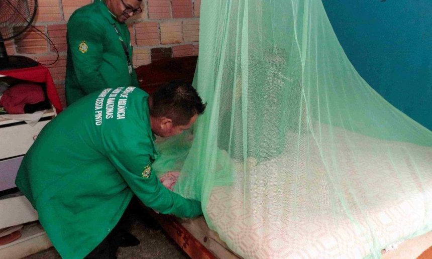 Funcionários da vigilância sanitária inspecionam mosquiteiro em ação preventiva contra malária.