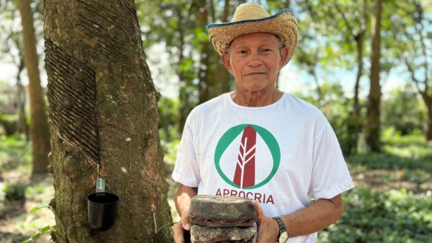 Homem sorrindo segurando borracha de árvore, ao lado de tronco de árvore com cortes para extração de látex.