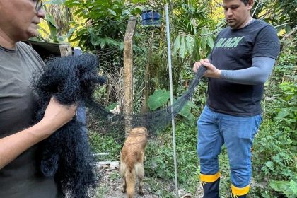 Homens seguram rede de proteção em meio à vegetação, possivelmente para captura de animais.