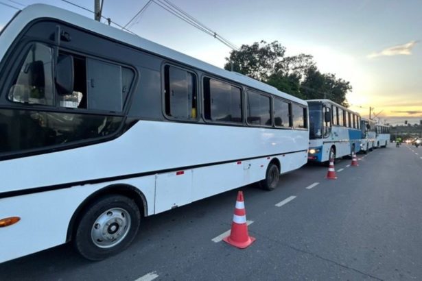Ônibus brancos estacionados em fila em uma rua, com cones de sinalização e céu ao fundo.