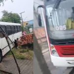 Ônibus municipal de Manaus colide contra árvore no bairro Colônia Antônio Aleixo.