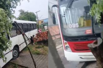 Ônibus municipal de Manaus colide contra árvore no bairro Colônia Antônio Aleixo.