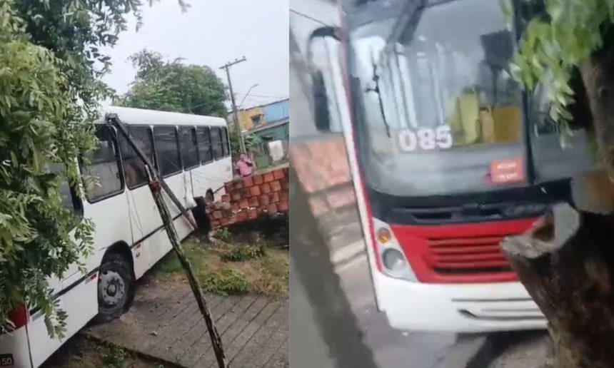 Ônibus municipal de Manaus colide contra árvore no bairro Colônia Antônio Aleixo.