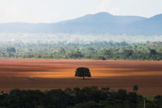 Campo desmatado na Amazônia