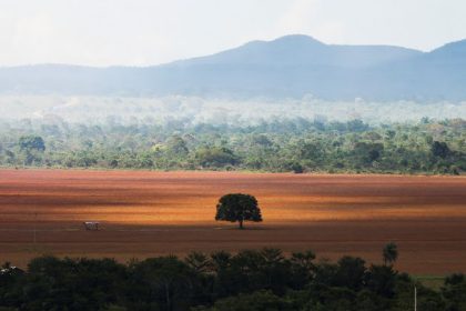 Campo desmatado na Amazônia