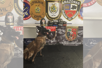 Imagem colorida mostra cadela Havana em apreensão de droga