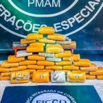 Apreensão de drogas: Pacotes de skunk apreendidos pela PolÃcia Federal.