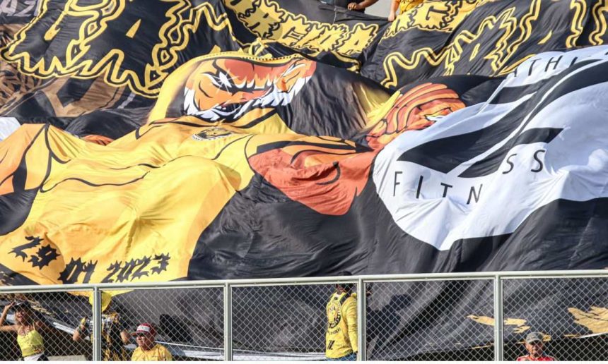 Bandeira do Amazonas FC com desenho de tigre, com a data '21 01 2023'.