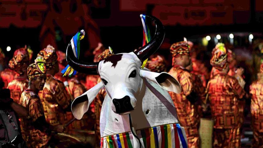 Boi-bumbá em apresentação no Sambódromo de Manaus, com adereços coloridos e público ao fundo.