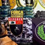 Cachorro policial com drogas apreendidas em operação da Rocam e Força Nacional