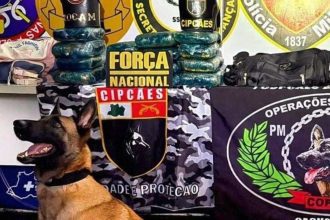 Cachorro policial com drogas apreendidas em operação da Rocam e Força Nacional