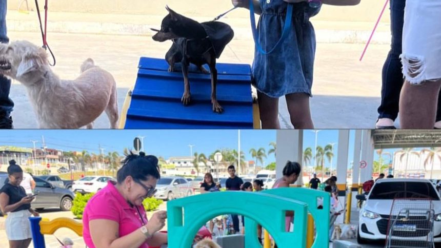 Cães em evento de saúde animal, com pessoas e obstáculos.