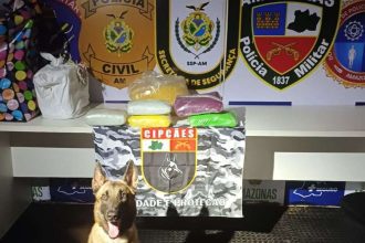 Cão farejador da Polícia Militar do Amazonas (PMAM) com drogas apreendidas em operação