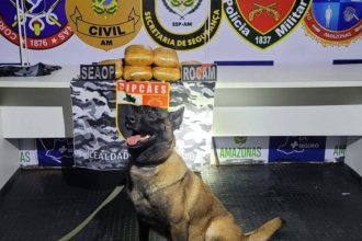 Cão farejador e drogas apreendidas em ação policial.