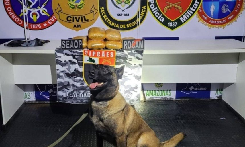 Cão farejador e drogas apreendidas em ação policial.