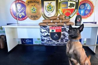 Cão farejador e drogas apreendidas pela PMAM.