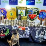 Cadela Havanam um cão farejador em apreensão de drogas da Polícia Militar do Amazonas. Operação com cães.