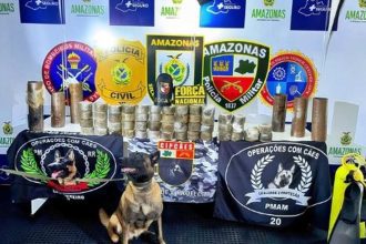 Cadela Havanam um cão farejador em apreensão de drogas da Polícia Militar do Amazonas. Operação com cães.
