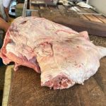 Carne de capivara apreendida em operação do Ipaam