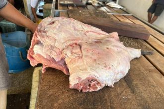 Carne de capivara apreendida em operação do Ipaam