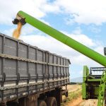Colheita de grãos sendo transferida para caminhão por máquina agrícola.