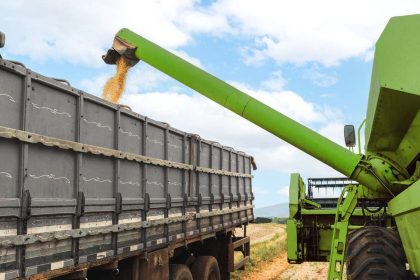Colheita de grãos sendo transferida para caminhão por máquina agrícola.