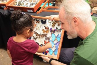 Criança aponta para borboletas em exposição 'Ciência na Praça' no Largo São Sebastião, Manaus.