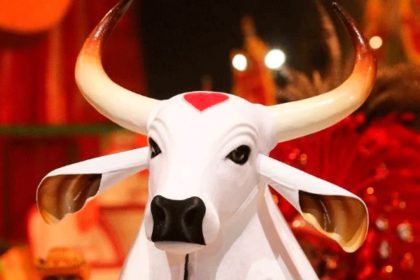 Escultura de boi branco com chifres e detalhe em coração vermelho na testa, em evento do Boi Garantido.