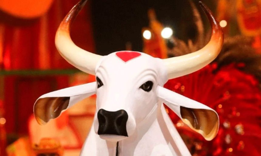 Escultura de boi branco com chifres e detalhe em coração vermelho na testa, em evento do Boi Garantido.