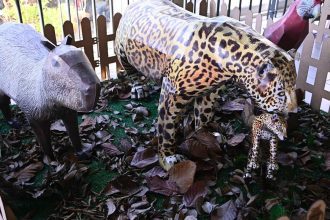Esculturas de animais feitas de papelão, incluindo uma onça-pintada com um filhote, uma capivara e um papagaio.