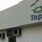 Fachada da loja Tapajós, em Manaus, com o logotipo e fachada branca e detalhes em verde.