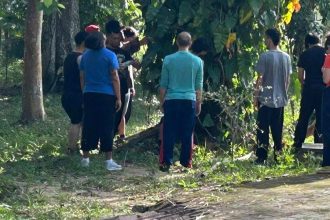 Grupo de pessoas em atividade artística ao ar livre em Manaus
