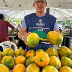 Homem segura mamões maduros em feira de produtos regionais em Manaus.