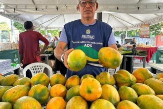 Homem segura mamões maduros em feira de produtos regionais em Manaus.