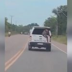 Idosa tenta sair de viatura da Polícia Militar em movimento
