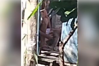 Imagem mostra cena de possível violência contra animal em Tefé, Amazonas.